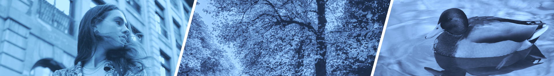 Prt priv Outremont